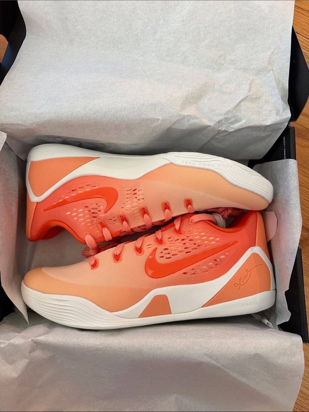 NEW Nike Kobe IX Elite Low ‘Em Protro